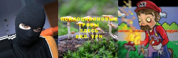сатива Нея