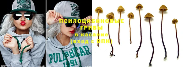 ALPHA PVP Новозыбков